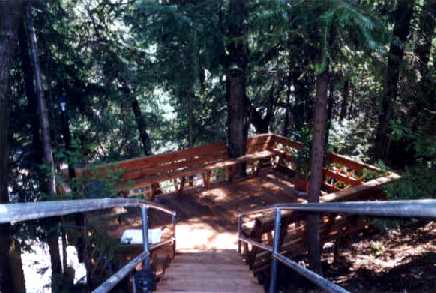 The lodge deck among the trees above Mears Creek