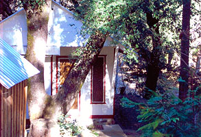 A one-bedroom cabin under the oaks
