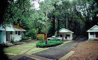 The road through the resort, with cabins set among the trees