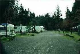 Shaded, landscaped sites in the resort's RV park